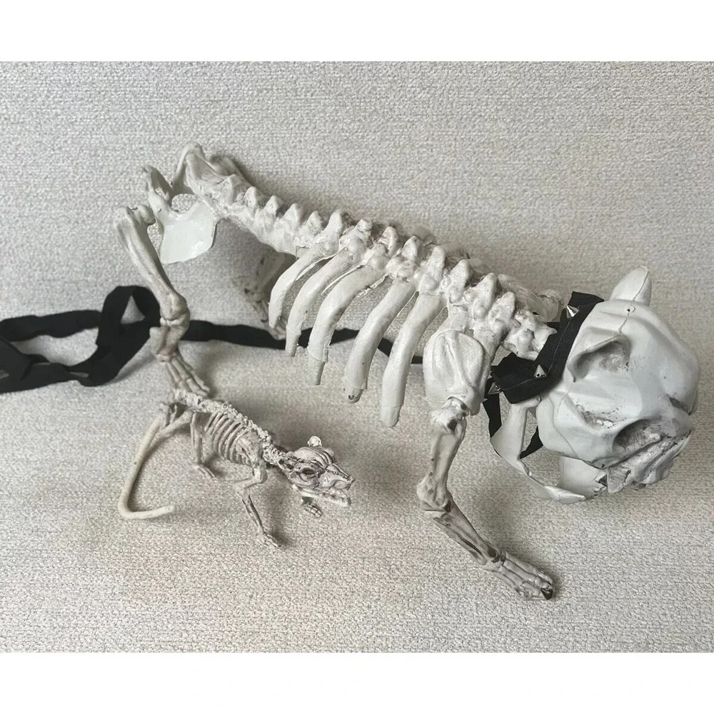 Skeleton Dogs Halloween Decorations Realistic Bones Scary Horror Lot 2